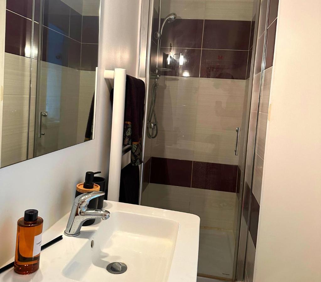Apartamento L'Oasis Cosy Villeurbanne Exterior foto