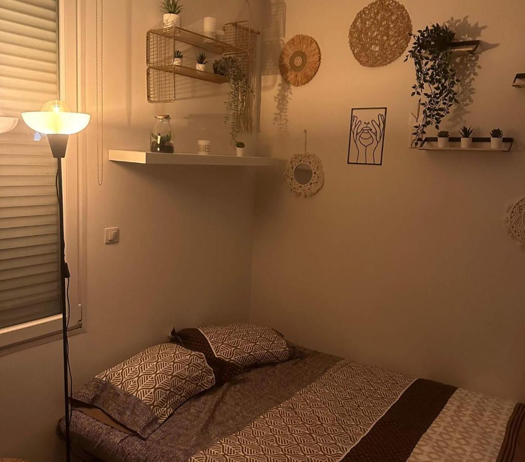 Apartamento L'Oasis Cosy Villeurbanne Exterior foto